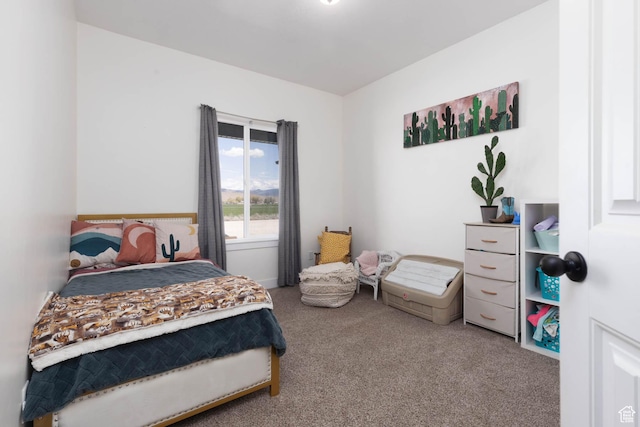 10360 S 10750 W, Axtell, UT 84621 - bedroom featuring carpet flooring