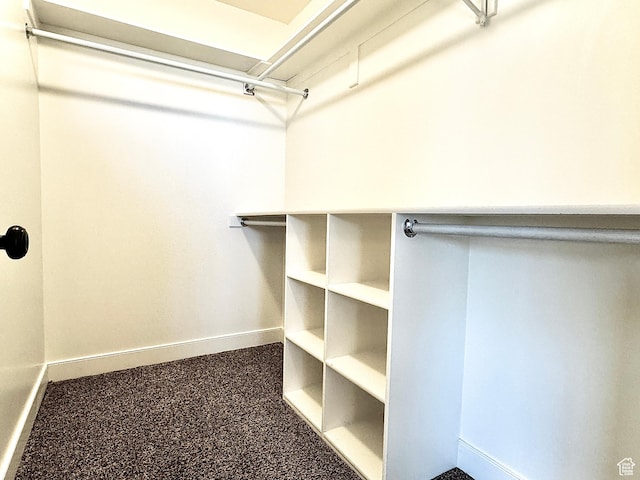 848 N Cooley St W, Grantsville, UT 84029 - view of spacious closet