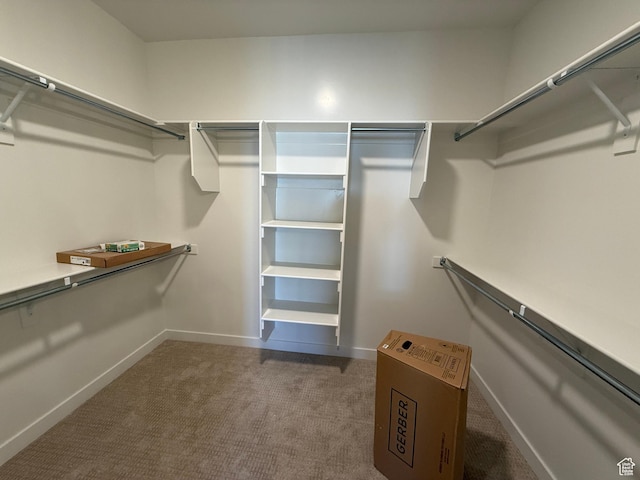 20 N 3830 W Unit 445, West Point, UT 84015 - walk in closet with carpet flooring