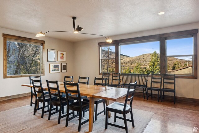 210 Parkview Dr, Summit Park, UT 84098 - dining area with recessed lighting, baseboards, a mountain view, and light wood-type flooring