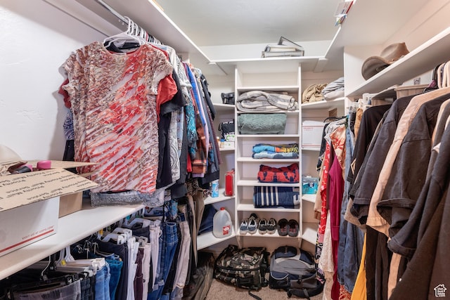 4231 W 650 N, Vernal, UT 84078 - walk in closet featuring carpet flooring