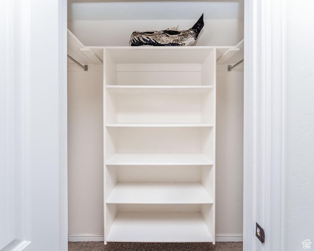 4231 W 650 N, Vernal, UT 84078 - walk in closet with carpet