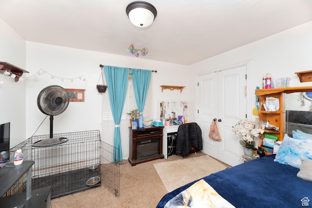 4231 W 650 N, Vernal, UT 84078 - carpeted bedroom with a closet