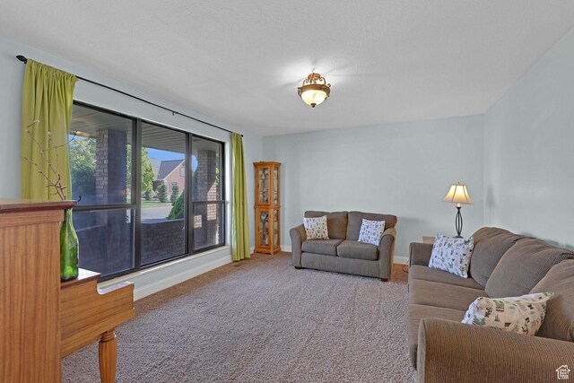 2137 W 550 N, West Point, UT 84015 - living room with baseboards and carpet
