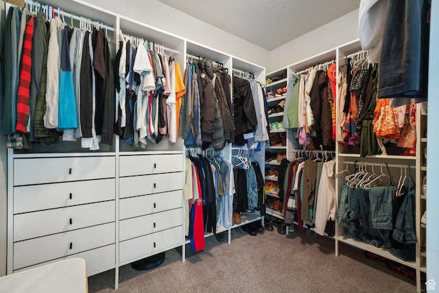 spacious closet with carpet flooring