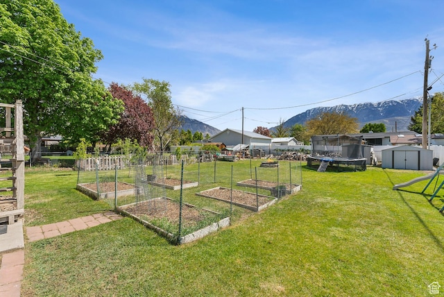 222 N 600th St E, Orem, UT 84097 - view of yard featuring a trampoline, a vegetable garden, a mountain view, an outdoor structure, and a storage unit