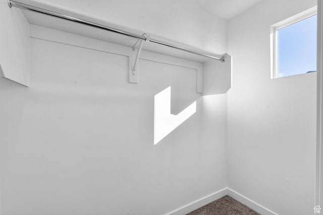 spacious closet featuring carpet flooring