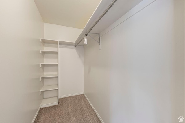 10046 N Sage Rd W, Cedar Hills, UT 84062 - walk in closet with carpet floors