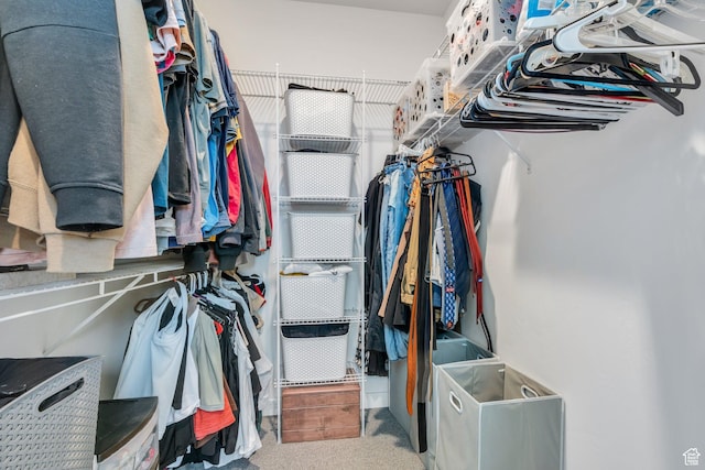 6294 W 7830 S, West Jordan, UT 84081 - walk in closet with carpet flooring