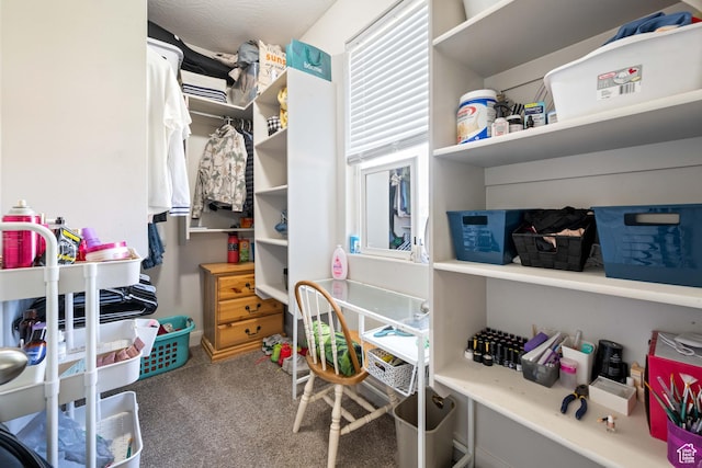 spacious closet featuring carpet floors