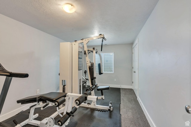 289 W Lauren N, Tooele, UT 84074 - exercise area with baseboards, a textured ceiling, and carpet floors