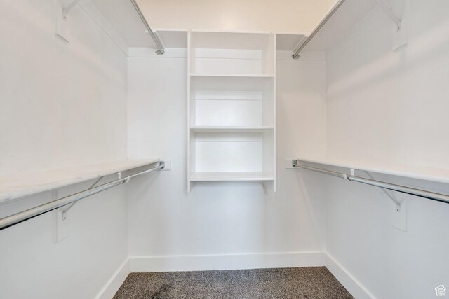 289 W Lauren N, Tooele, UT 84074 - spacious closet with carpet flooring
