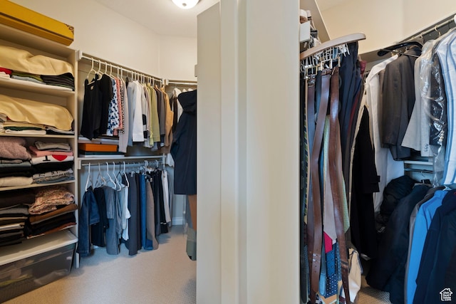 spacious closet with carpet flooring