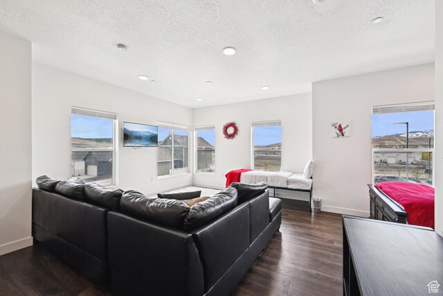 6523 Serviceberry Dr Unit A205, Park City, UT 84098 - living area with baseboards, recessed lighting, a textured ceiling, and dark wood-type flooring