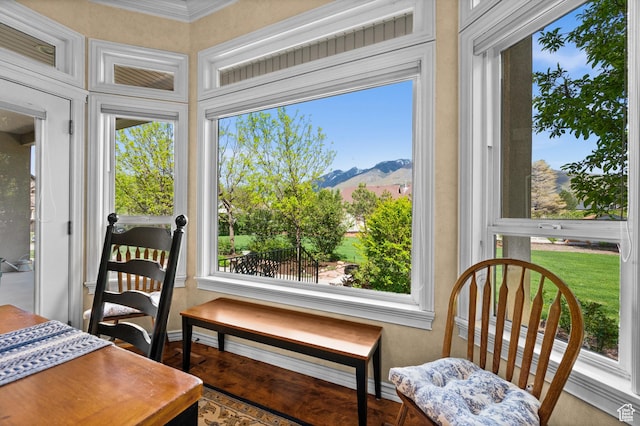 sunroom with plenty of natural light, a mountain view, crown molding, and baseboards