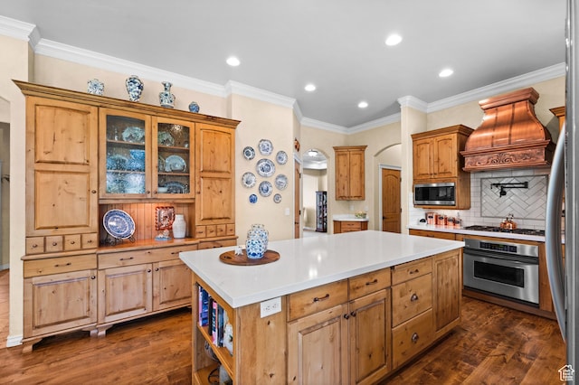 kitchen featuring stainless steel appliances, dark wood finished floors, custom exhaust hood, and tasteful backsplash