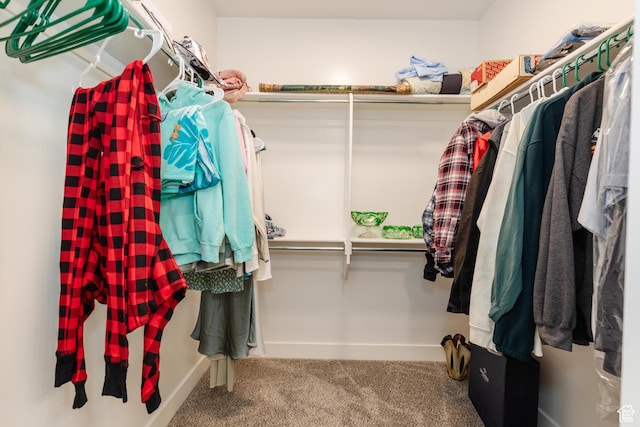 475 W 60 S Unit L303, Providence, UT 84332 - spacious closet featuring carpet