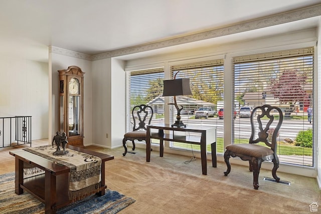 344 E 900 N, Pleasant Grove, UT 84062 - living area with visible vents and carpet