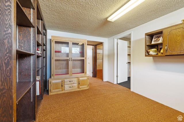 344 E 900 N, Pleasant Grove, UT 84062 - interior space featuring carpet flooring and a textured ceiling