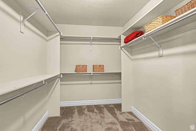 walk in closet featuring carpet