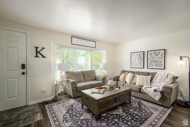 living room featuring baseboards, a textured ceiling, and wood finished floors