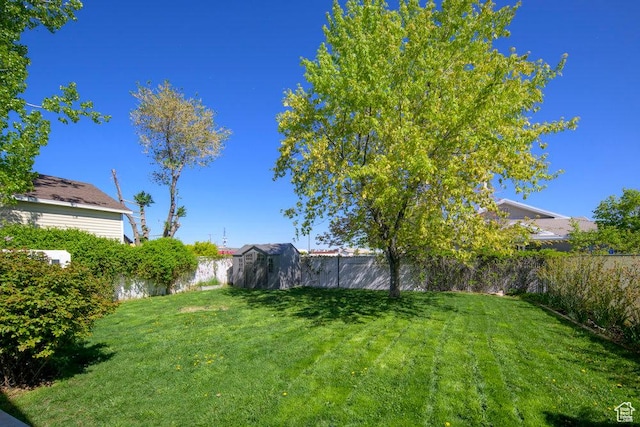 view of yard featuring an outdoor structure, a fenced backyard, and a storage shed