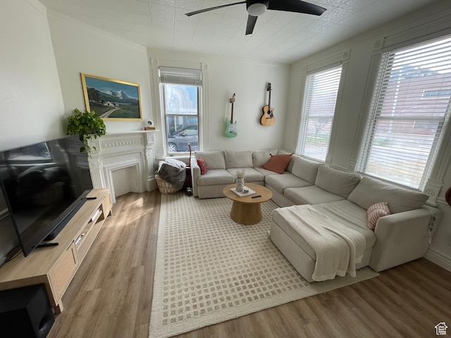 living area featuring crown molding, ceiling fan, a wealth of natural light, and light wood-style floors