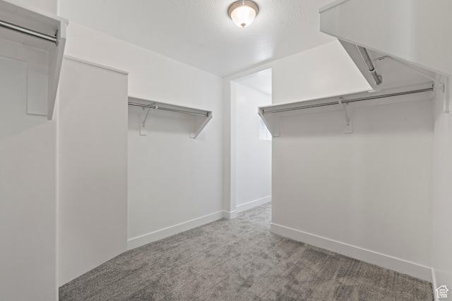 spacious closet with carpet