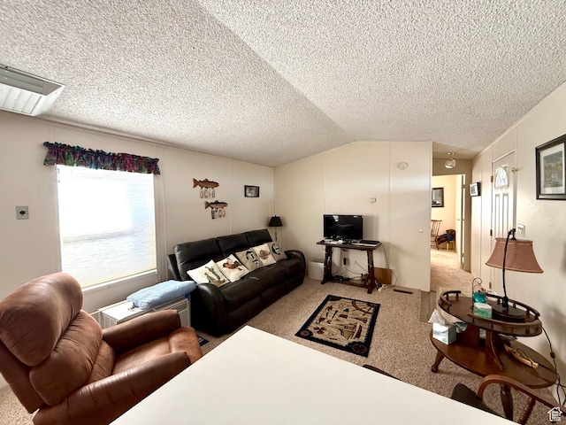 3149 S Prairie Dog Way, Garden City, UT 84028 - carpeted living area with a textured ceiling and lofted ceiling