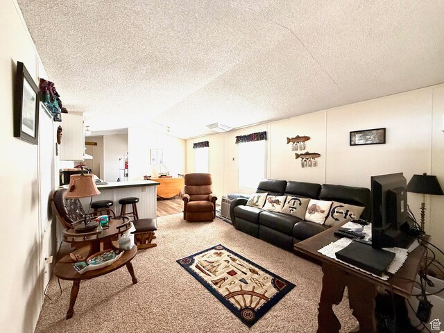 3149 S Prairie Dog Way, Garden City, UT 84028 - carpeted living area with a textured ceiling and vaulted ceiling