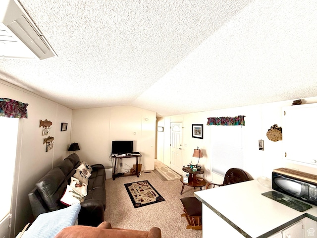 3149 S Prairie Dog Way, Garden City, UT 84028 - living room featuring light colored carpet, a textured ceiling, and lofted ceiling