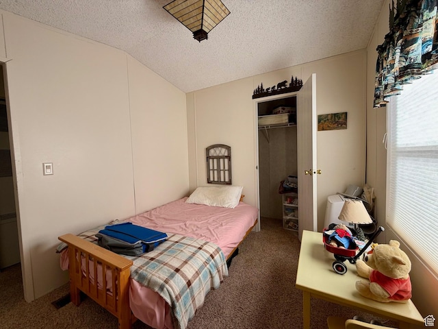 3149 S Prairie Dog Way, Garden City, UT 84028 - carpeted bedroom with a spacious closet, a closet, a textured ceiling, and lofted ceiling