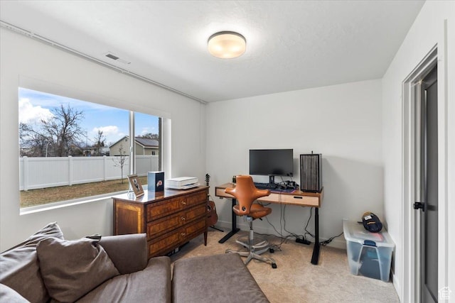 office space with carpet floors