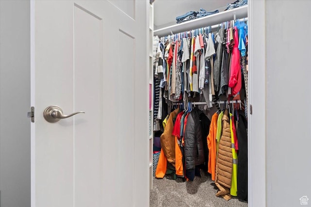 320 E Clark St, Grantsville, UT 84029 - spacious closet with carpet flooring