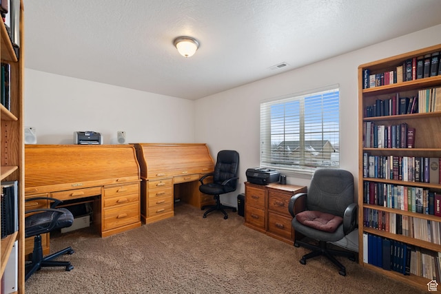 office space with visible vents and carpet