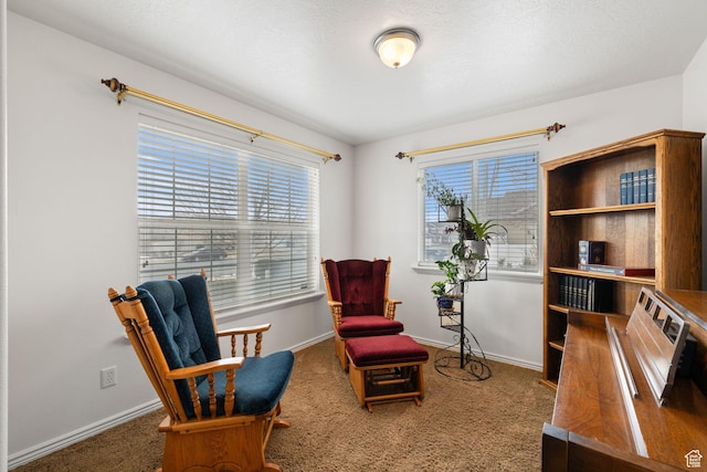 sitting room with baseboards and carpet
