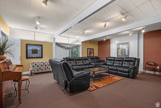 living area with track lighting, baseboards, and carpet flooring