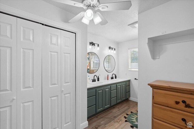 bathroom with wood finished floors, a sink, and a closet