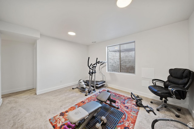 743 N 690 E, Tooele, UT 84074 - exercise area with baseboards, carpet, and recessed lighting