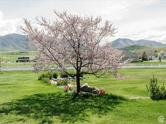 view of mountain feature featuring a rural view
