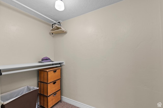 294 W Farmside Dr S, Saratoga Springs, UT 84045 - spacious closet with carpet floors