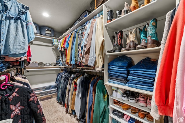 294 W Farmside Dr S, Saratoga Springs, UT 84045 - view of walk in closet