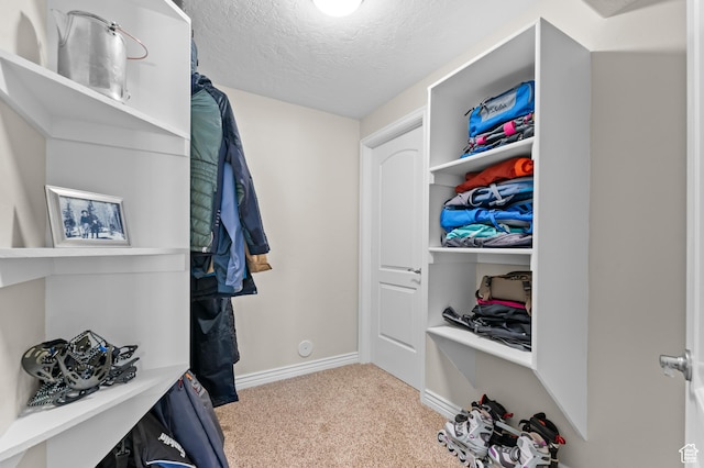 294 W Farmside Dr S, Saratoga Springs, UT 84045 - walk in closet featuring carpet flooring