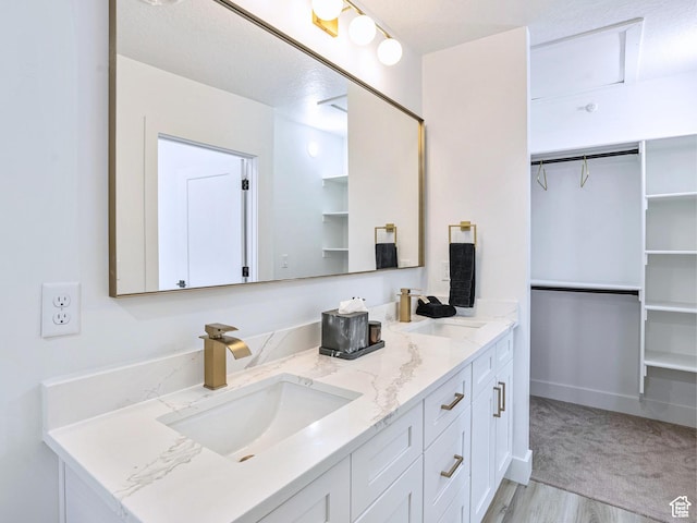 bathroom featuring double vanity, a walk in closet, and a sink