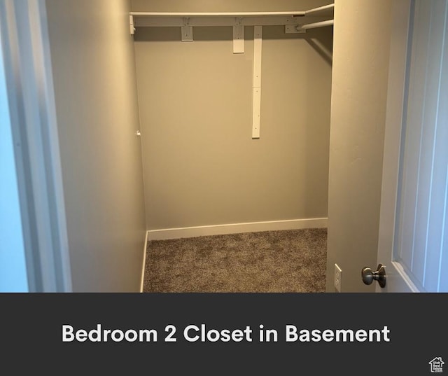 2447 N 2950 W, Plain City, UT 84404 - walk in closet with carpet flooring