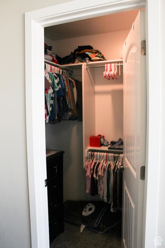 2447 N 2950 W, Plain City, UT 84404 - walk in closet with carpet floors