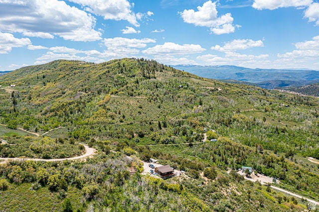 2185 Crestridge Rd Unit 51, Salina, UT 84654 - view of mountain feature with a wooded view
