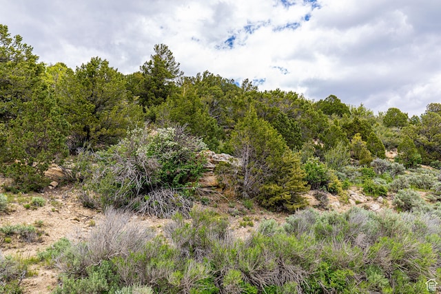 2185 Crestridge Rd Unit 51, Salina, UT 84654 - view of local wilderness with a forest view