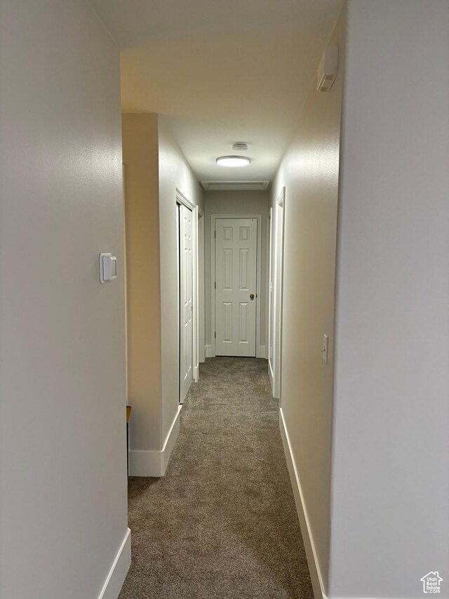 hallway with baseboards and carpet