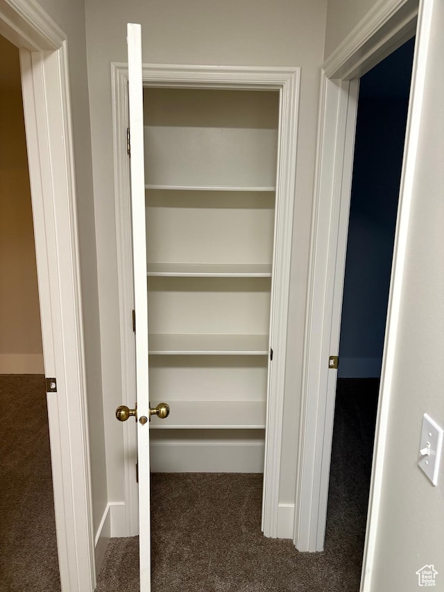 view of closet